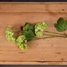 Green Viburnum Spray - Price Crash Furniture