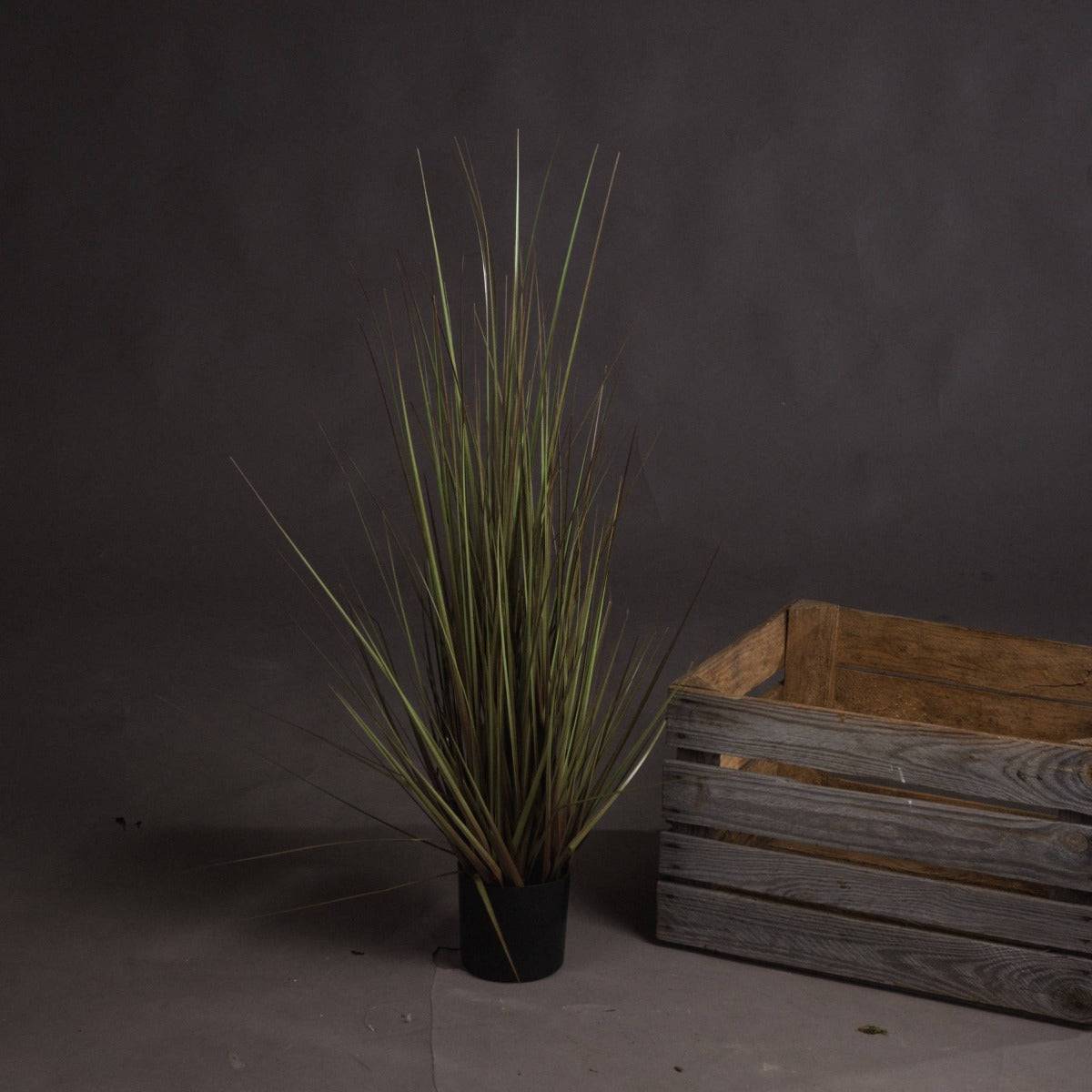 Spray Grass 21 Inch - Price Crash Furniture