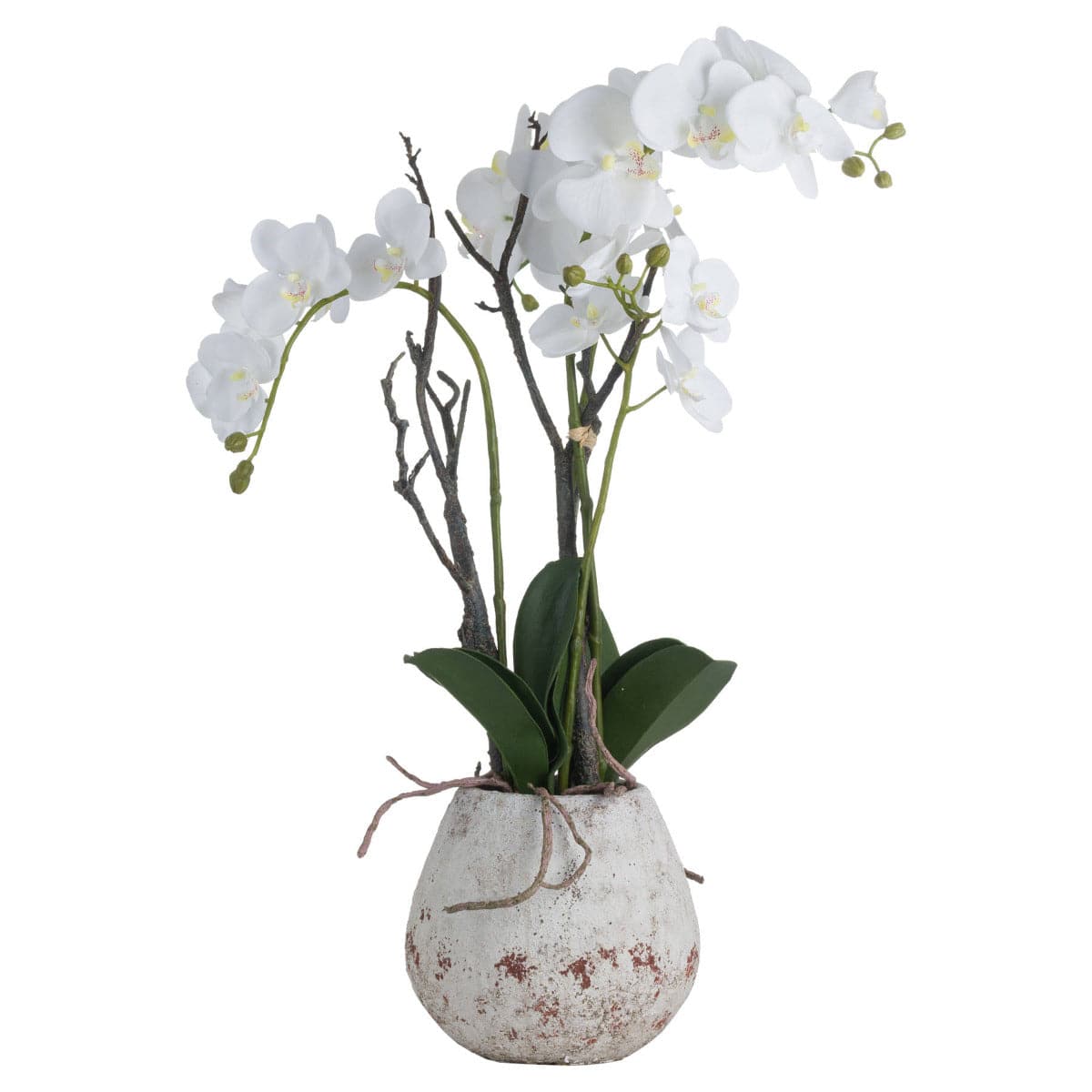 White Orchid In Stone Pot - Price Crash Furniture