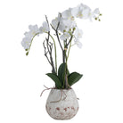 White Orchid In Stone Pot - Price Crash Furniture