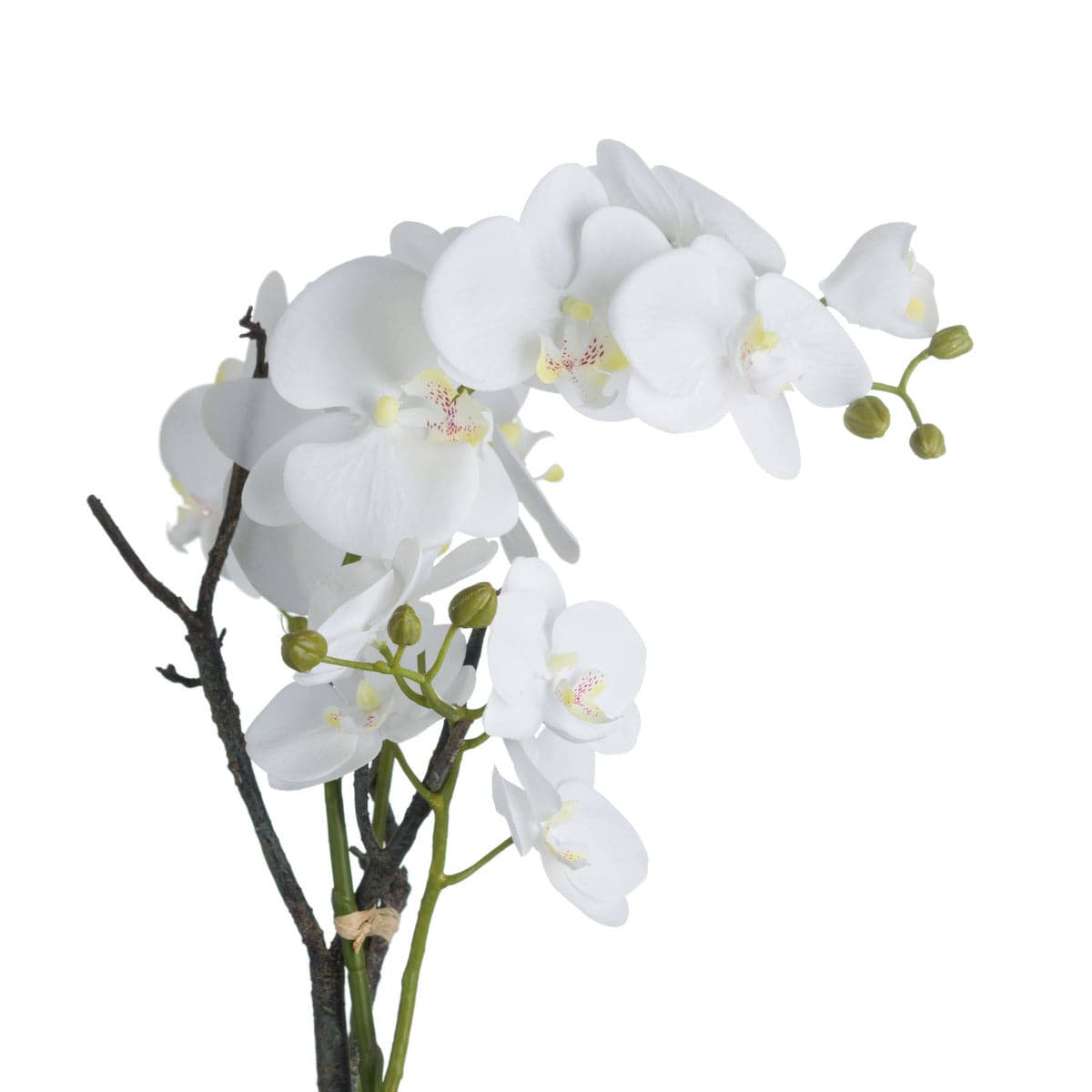 White Orchid In Stone Pot - Price Crash Furniture