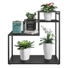 Novogratz Weston Plant Stand in Black Oak - Price Crash Furniture