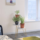 Athena Plant Stand in White by Dorel Novogratz - Price Crash Furniture