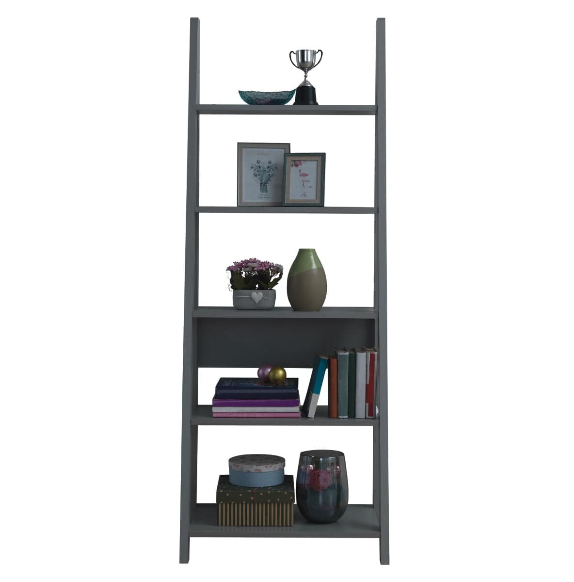 Riva Ladder Bookcase in Dark Grey by TAD - Price Crash Furniture