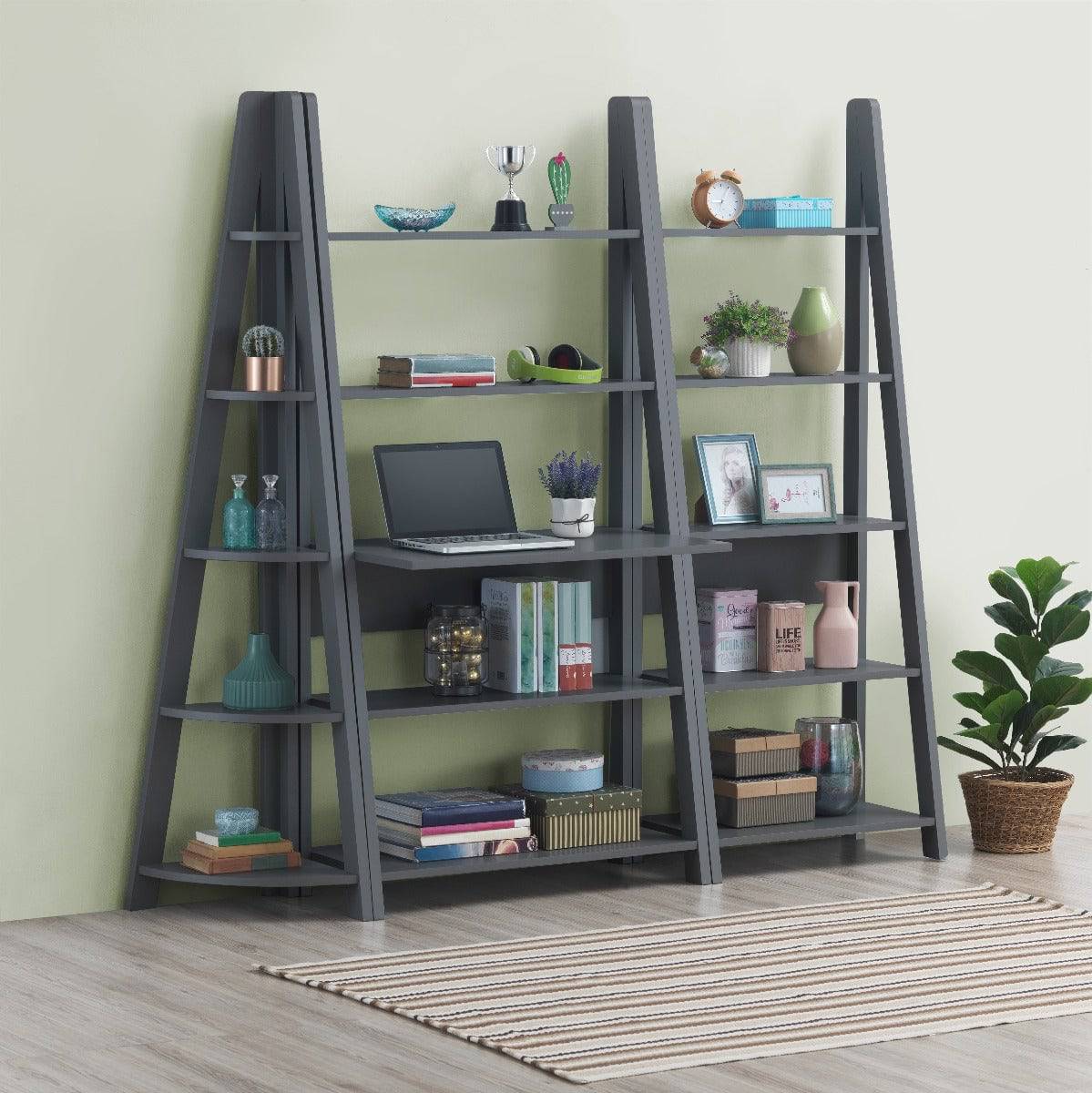 Riva Ladder Bookcase in Dark Grey by TAD - Price Crash Furniture