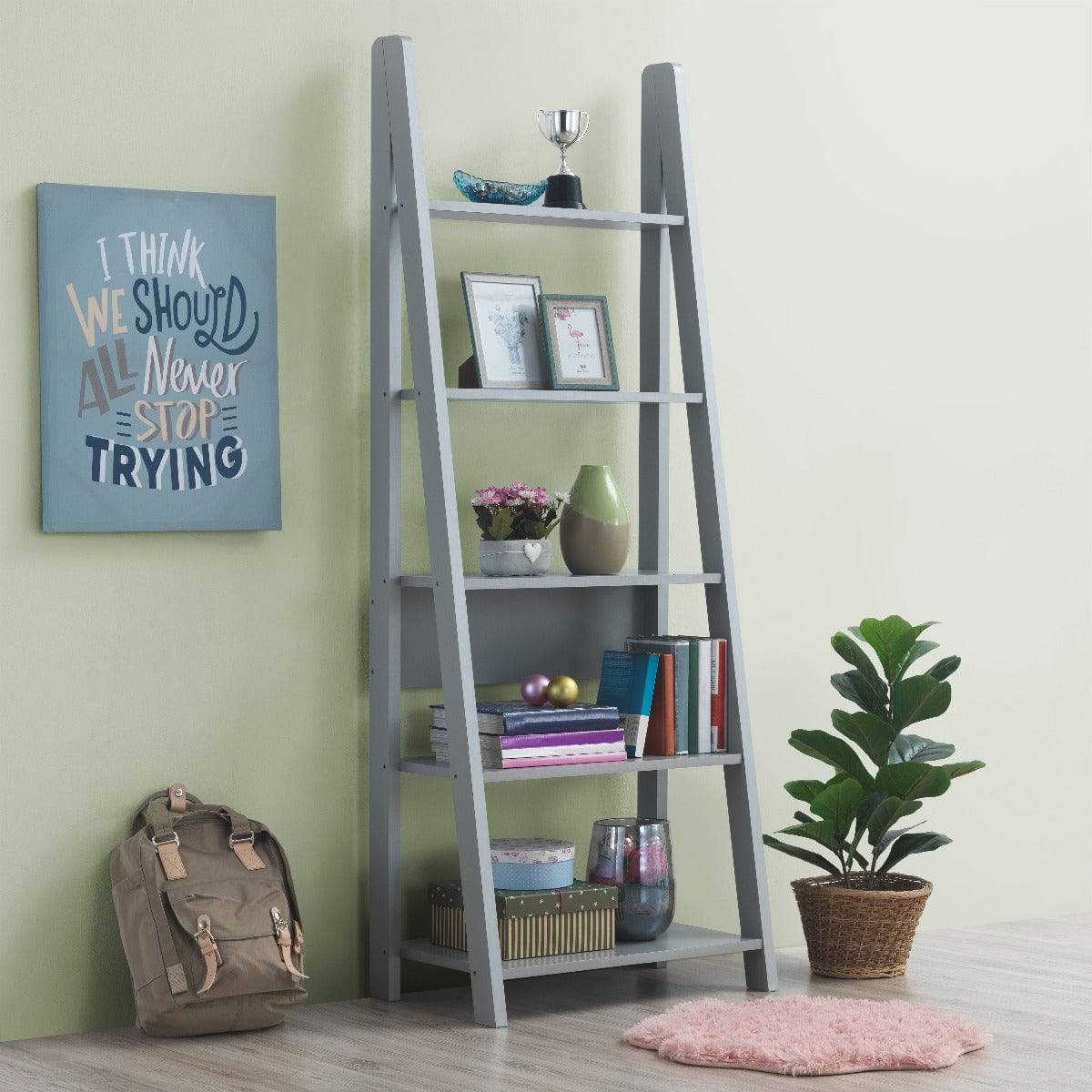 Riva Ladder Bookcase in Light Grey by TAD - Price Crash Furniture