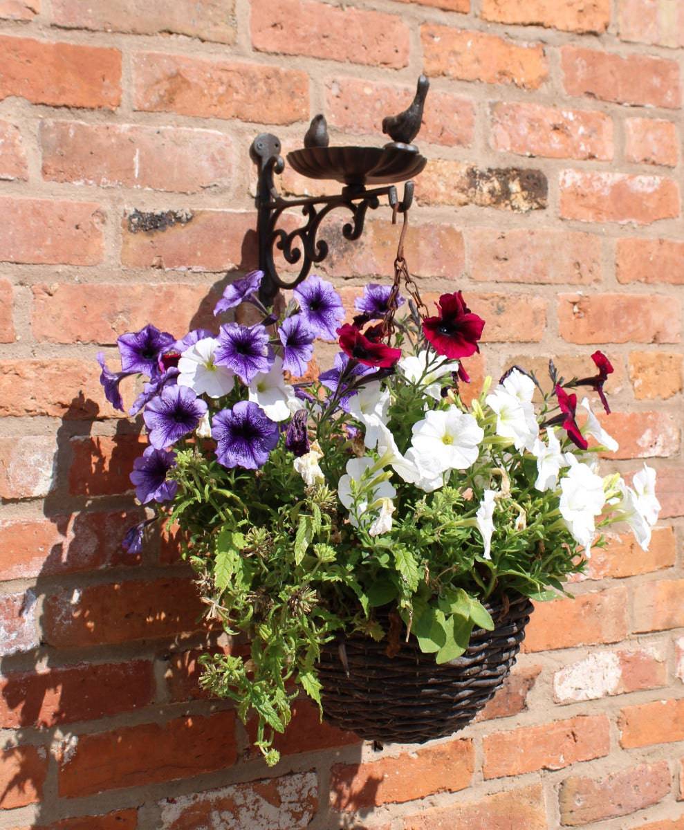 Cast Iron Hanging Basket Wall Bracket With Bird Feeder - Price Crash Furniture