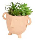 Face Terracotta Pot With Faux Cacti Large - Price Crash Furniture