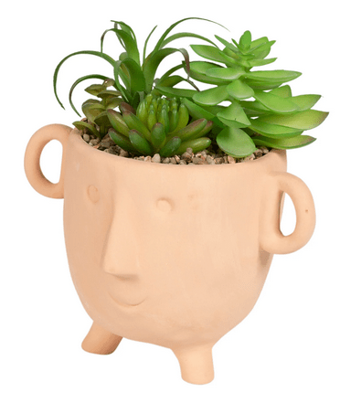 Face Terracotta Pot With Faux Cacti Large - Price Crash Furniture