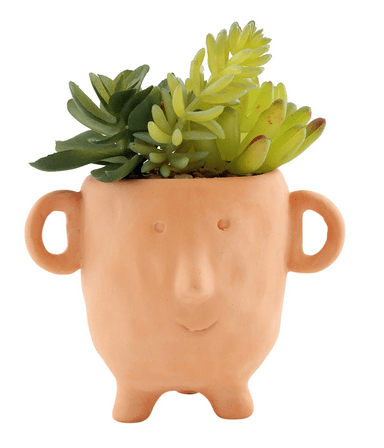 Face Terracotta Pot With Faux Cacti Small - Price Crash Furniture