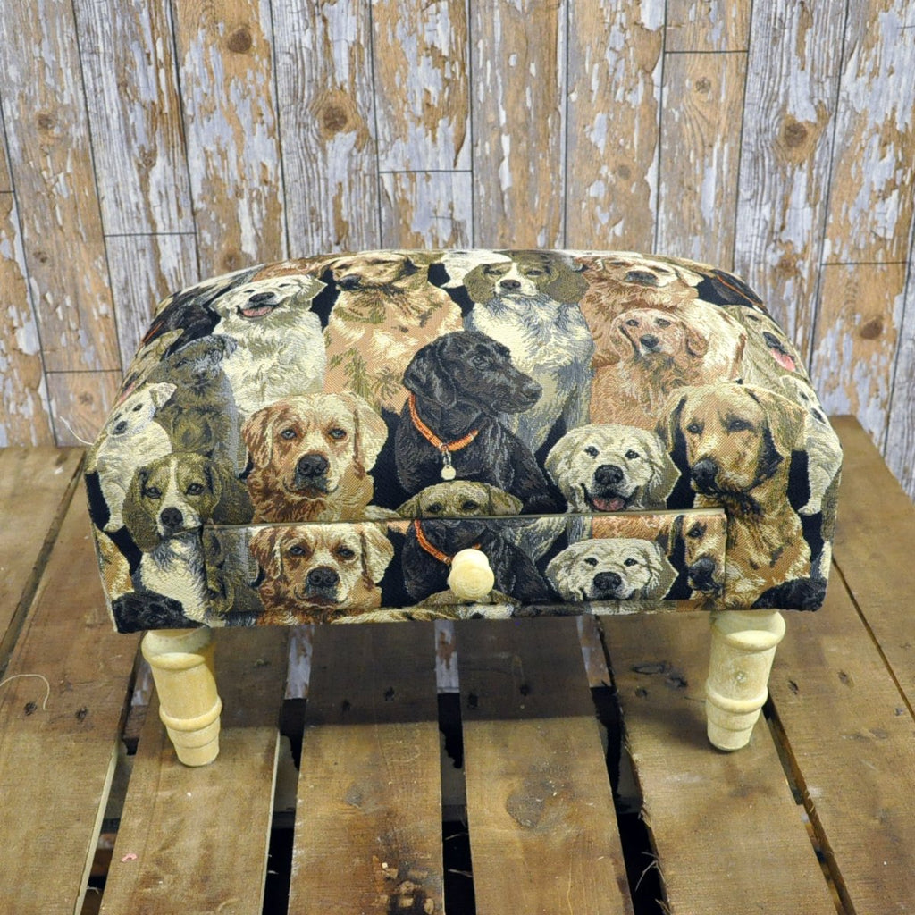Dogs Fabric Footstool With Drawer - Price Crash Furniture