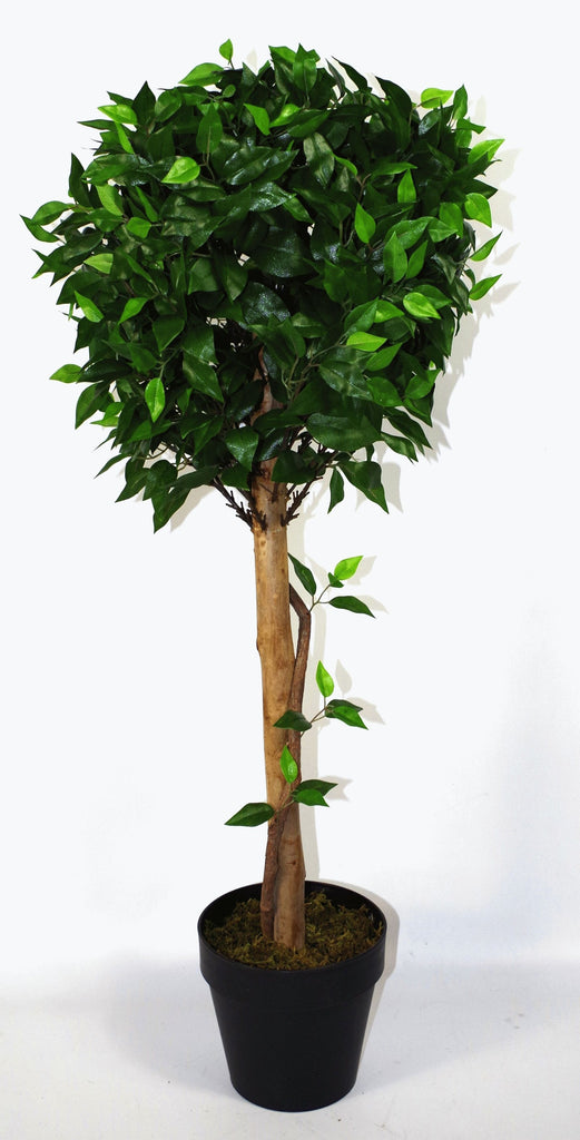 Artificial X-Large 105cm Ficus Ball Tree - Price Crash Furniture