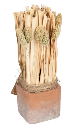 Fluffy Dried Grass Bouquet in Terracotta Pot - Price Crash Furniture